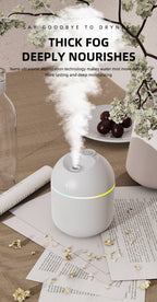 270ML Cool Mist Aroma Humidifier with LED Night Light