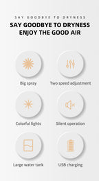 270ML Cool Mist Aroma Humidifier with LED Night Light